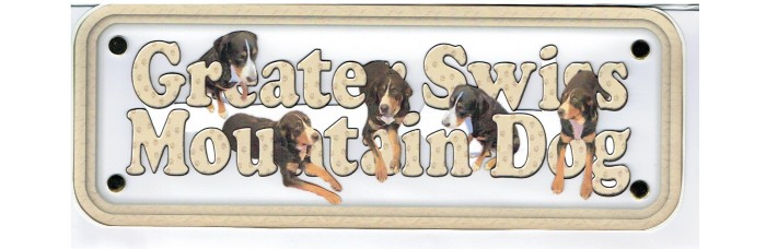 Greater Swiss Mountain Dog